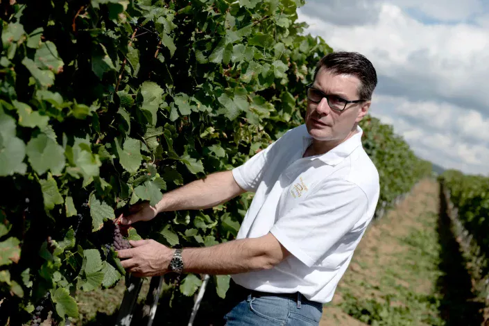 INFO@FOTOGRAFIE-PRISMA.DE-1090700 Weingut Provis Anselmann - Christian Anselmann